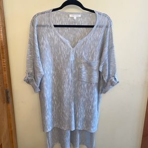 Honey Punch sheer top